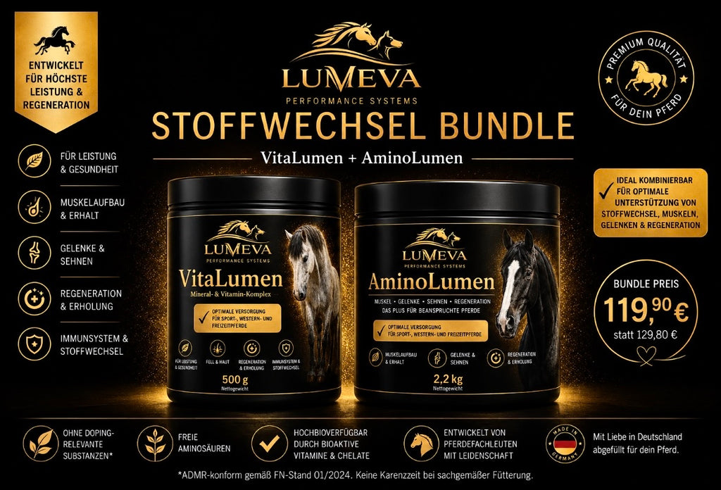 Stoffwechsel-Bundle