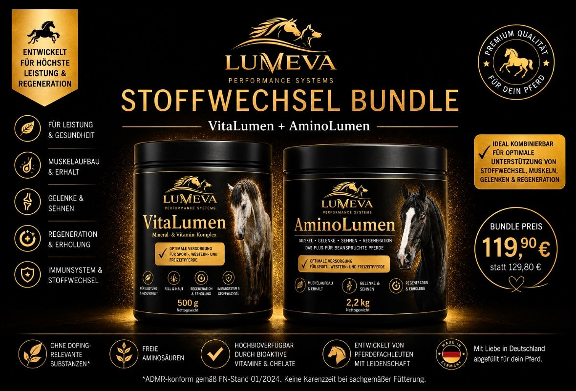 Stoffwechsel-Bundle