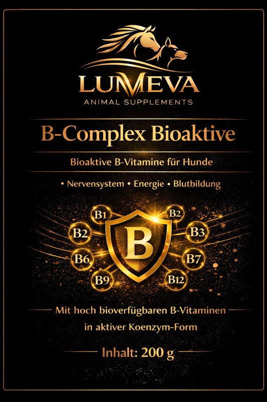 B-Complex Bioactive Dog
