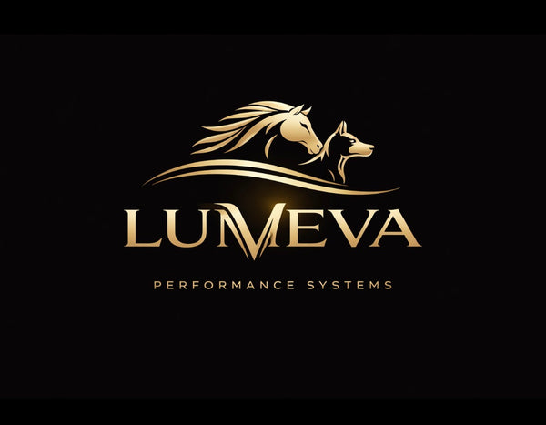 LumeVa Performance